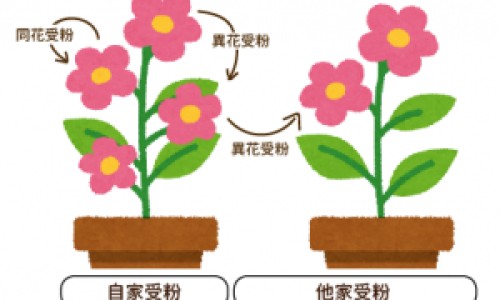 氧气机和氧气瓶的区别-氧气机与雾化机区别网- 氧气雾化和雾化机雾化哪个好知识,分享氧气机与雾化机区别是什么