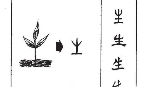 雾化机和吸氧机有什么区别-氧气机与雾化机区别网- 氧气雾化和雾化机雾化哪个好知识,分享氧气机与雾化机区别是什么